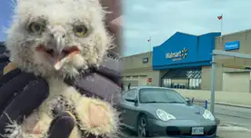 MÁXIMA ALERTA por rescate en Walmart: CAYÓ DEL TECHO a plena luz del día y terminó movilizando a la policía