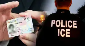 ALERTA MÁXIMA, inmigrantes en EE. UU.: ICE recurre a la base de datos de las LICENCIAS de conducir en este estado para DETENERLOS