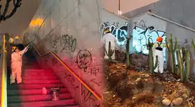 Importante zona en Lima Norte es recuperada y luce con mejor imagen: vecinos disfrutan de mayor seguridad