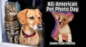 All American Pet Photo Day: la adorable razón por la que EE. UU. llena HOY, sábado 11 de julio, las redes sociales con fotos de sus mascotas