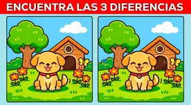 ¿Eres un verdadero genio? Encuentra las 3 diferencias en solo 8 segundos y marca un nuevo récord