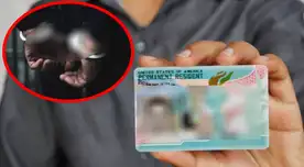 ALERTA MÁXIMA, inmigrantes legales e indocumentados en EE. UU.: 16 titulares de Green Card terminan ARRESTADOS tras MENTIR sobre tener ciudadanía