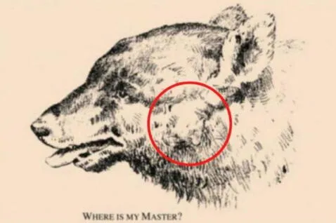 Reto visual: encuentra al hombre en el pelaje del oso   