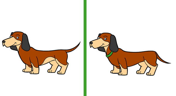 encuentra las 3 diferencias entre perros salchicha