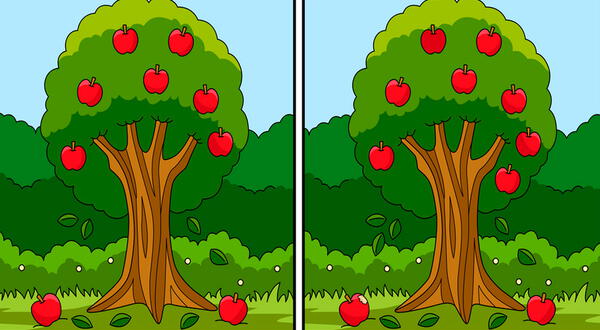 ¿Puedes ver las 6 diferencias entre los árboles?  Conquista tu mente y consigue superar el reto
