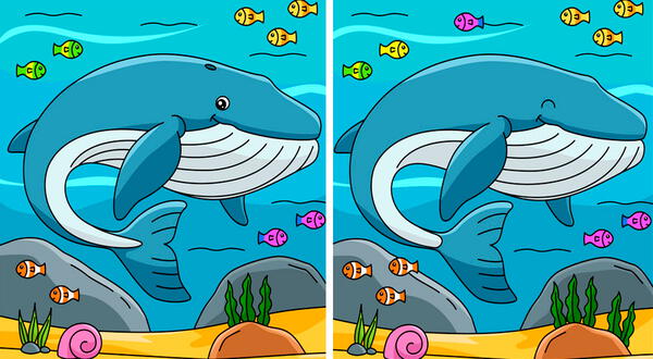 Can you find 10 differences?  Challenge your mind and be able to overcome this challenge