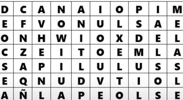 Do you think you have a hawk’s point?  Find the word “Canada” in just 12 seconds