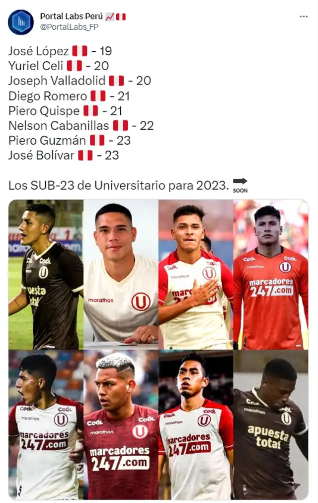Universitario