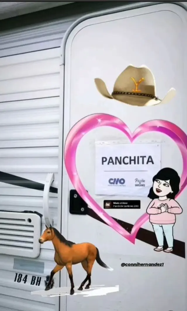 Pasión de gavilanes