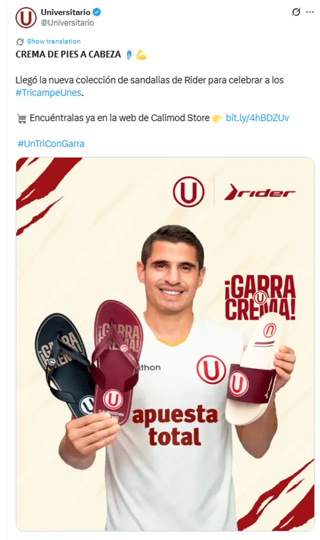 universitario universitario