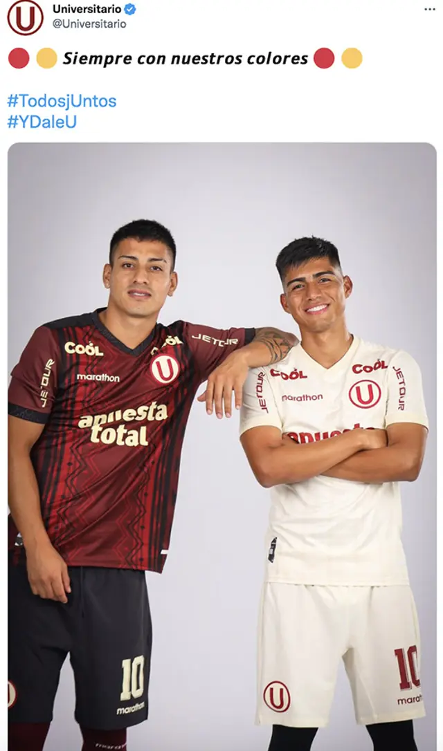 Universitario