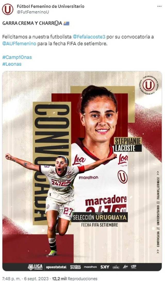 Universitario