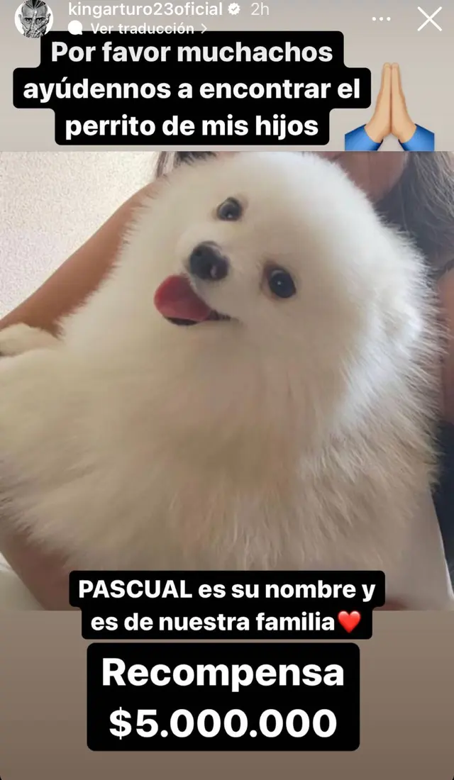 Arturo Vidal ofrece millonaria recompensa por su perro.