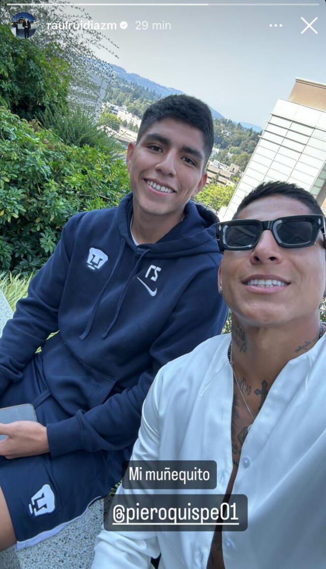 Universitario