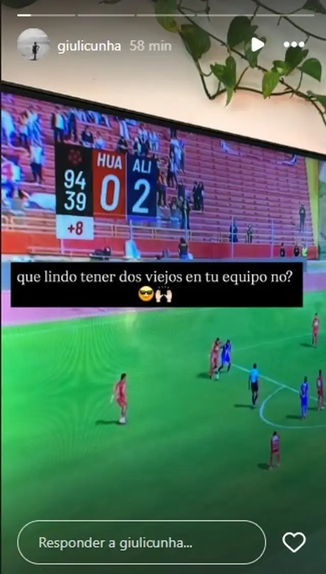 barcos barcos