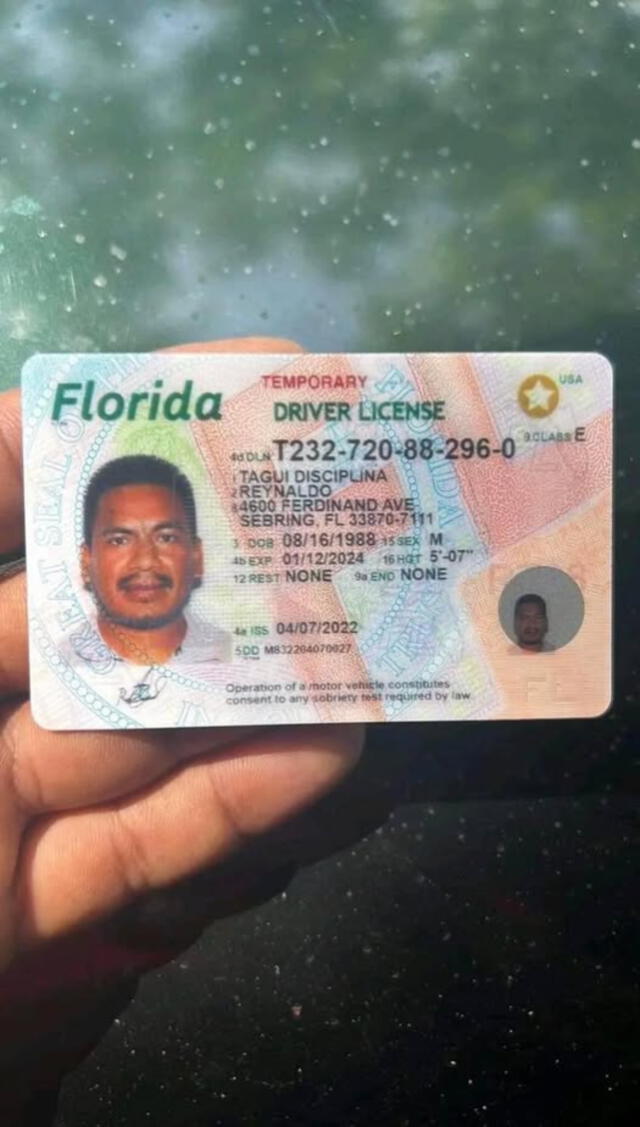 Licencia conducir Florida