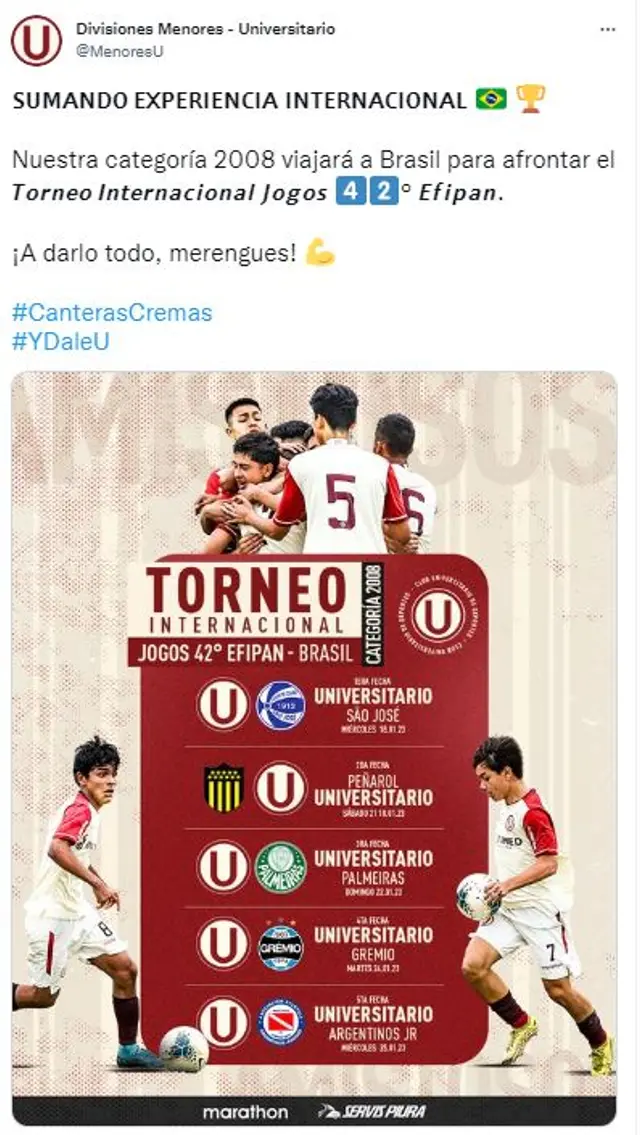 Universitario