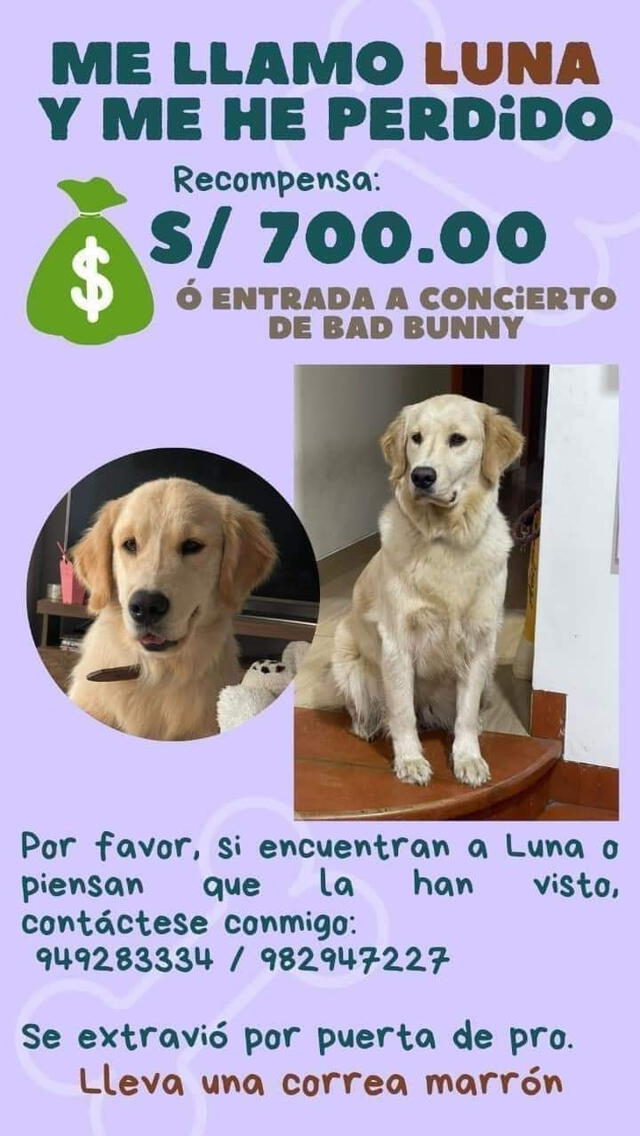 Créditos:    
