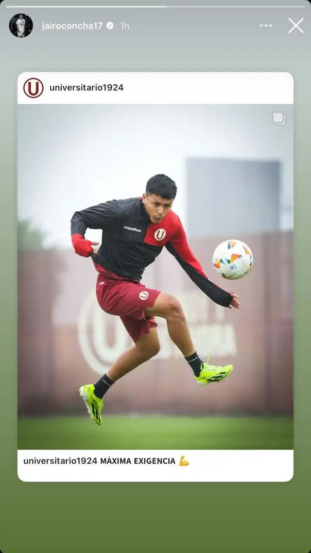 Jairo Concha, Universitario