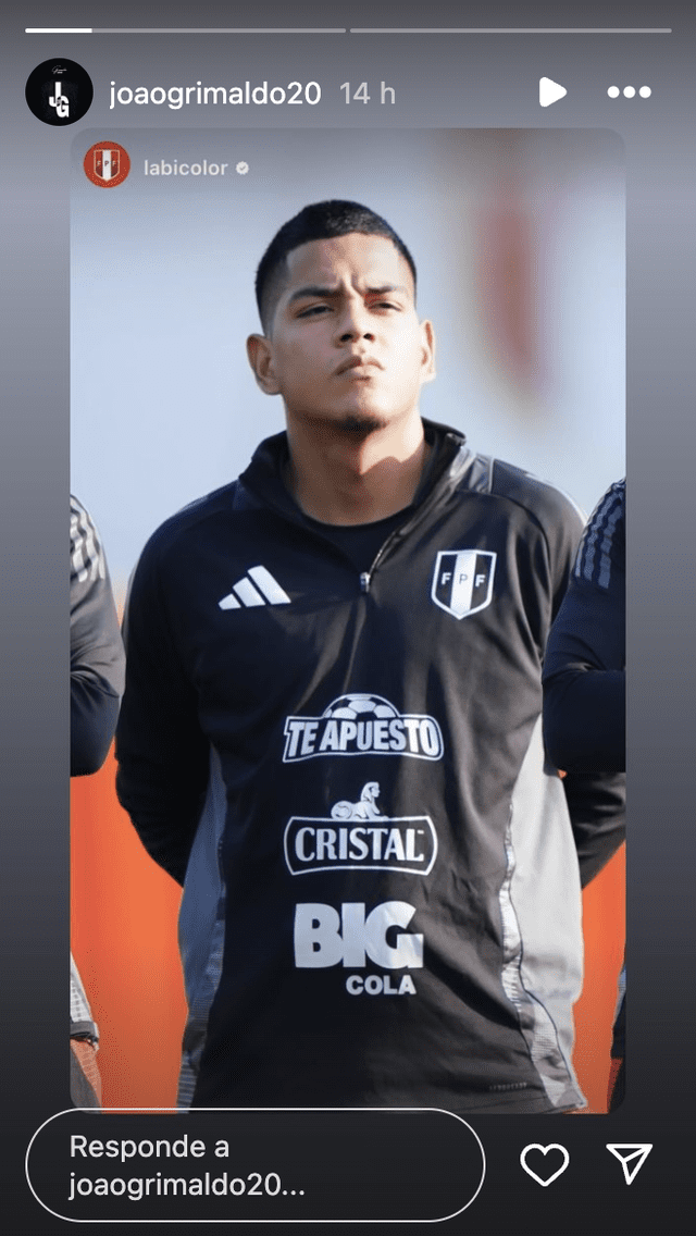 Joao Grimaldo