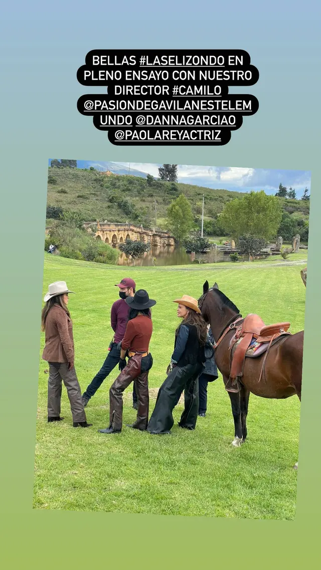 Pasiòn de gavilanes