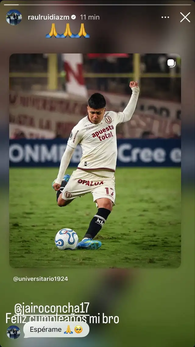Raúl Ruidíaz, Universitario