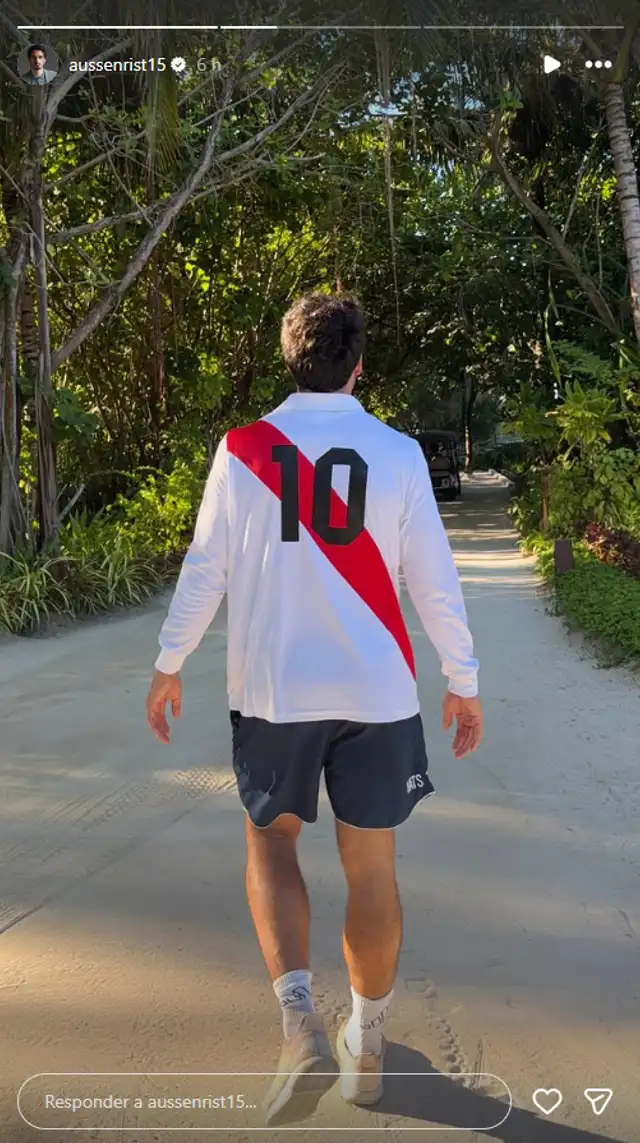 Mats Hummels, Selección Peruana