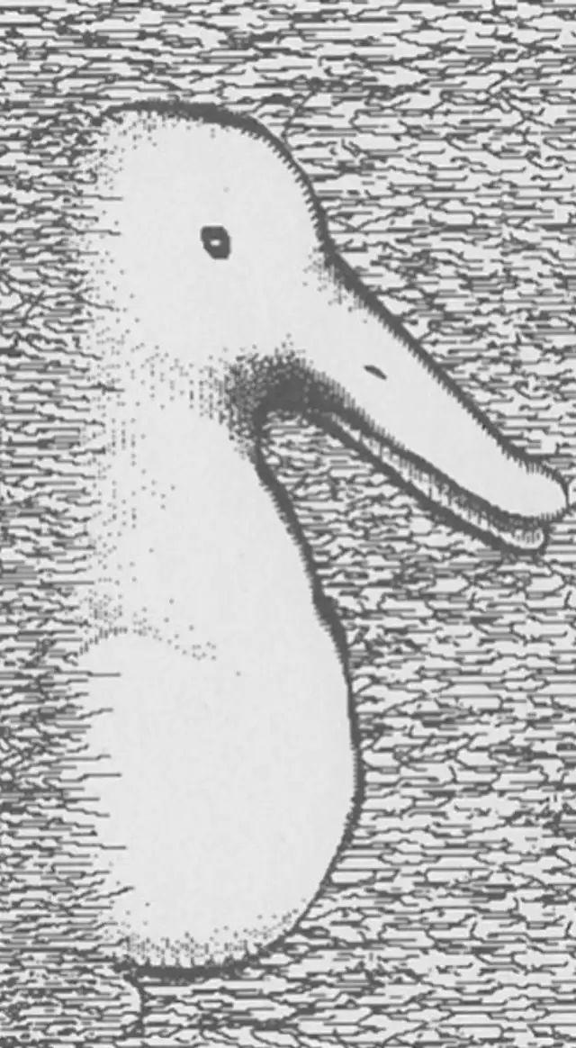 retos visuales retos visuales