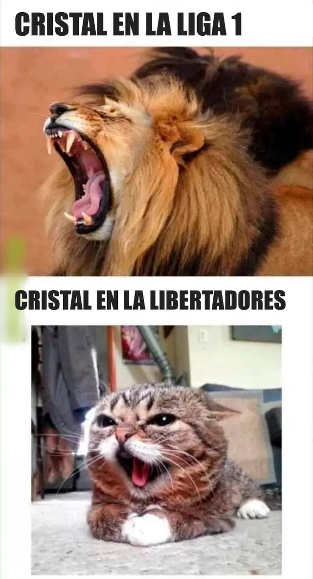 libero.pe