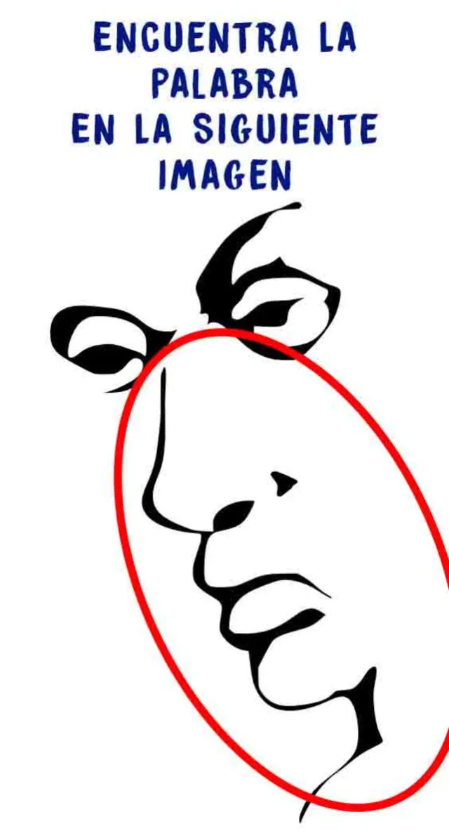 Acertijo visual