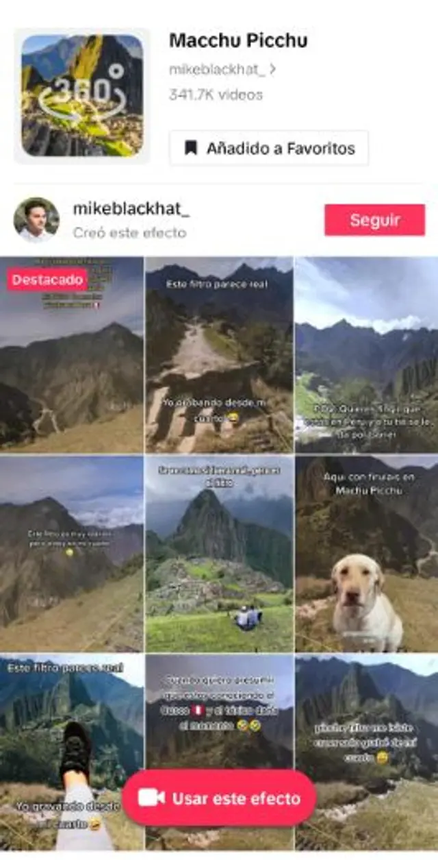 Tiktok Tiktok