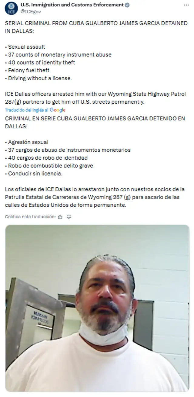 Delincuente en serie Delincuente en serie