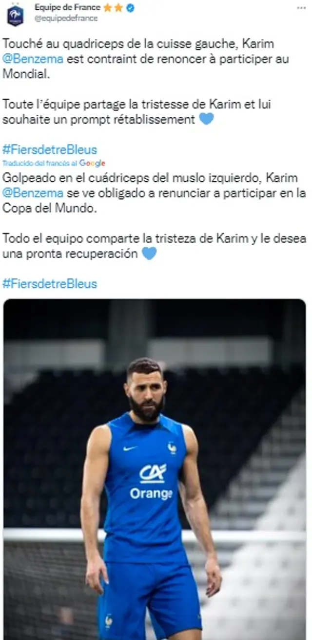 Benzema se perderá el Mundial.