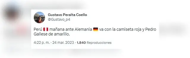 Camiseta de la selección peruana para partido contra Alemania.
