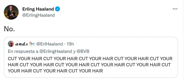 Erling Haaland
