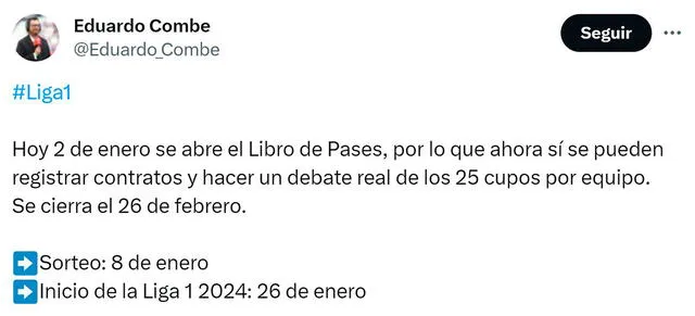 Liga 1 2024
