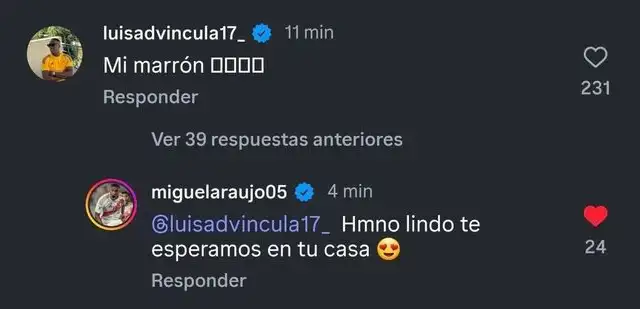 luis advincula