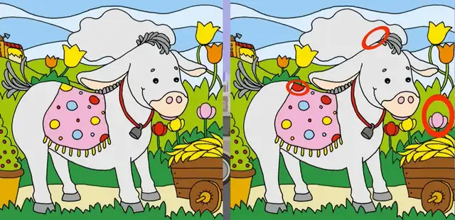 Aquí se encuentra las diferencias en el burro. Foto: Dumapp.   