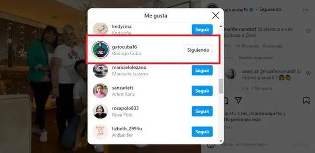 Gato Cuba, Melissa Paredes, Instagram