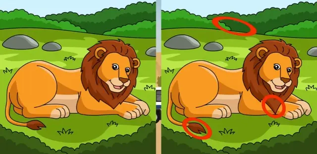 reto visual reto visual