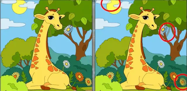 reto visual reto visual