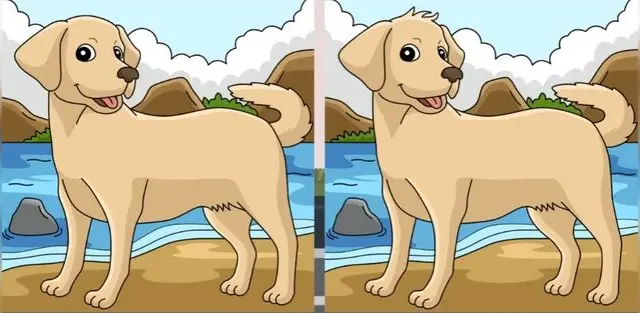 reto visual reto visual