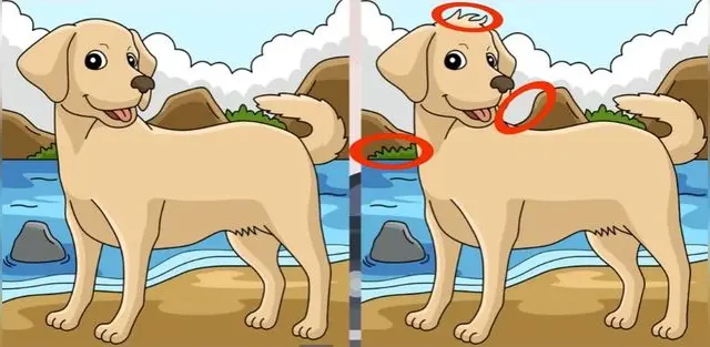 reto visual reto visual