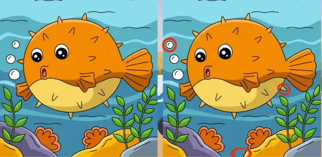 reto visual reto visual