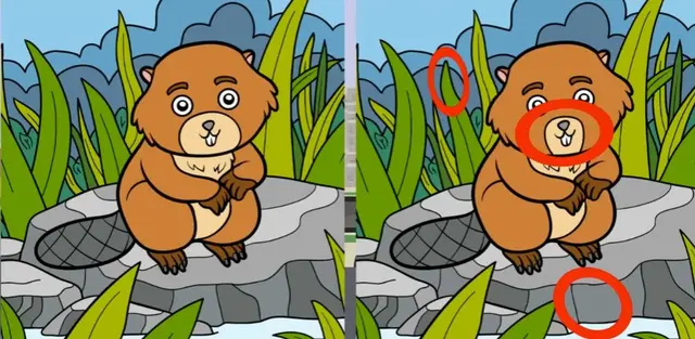 reto visual reto visual