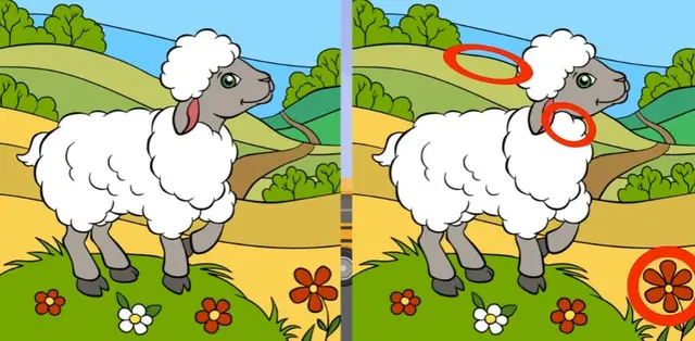 reto visual