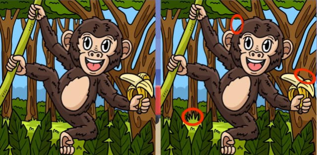 reto visual reto visual