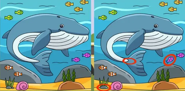 reto visual reto visual