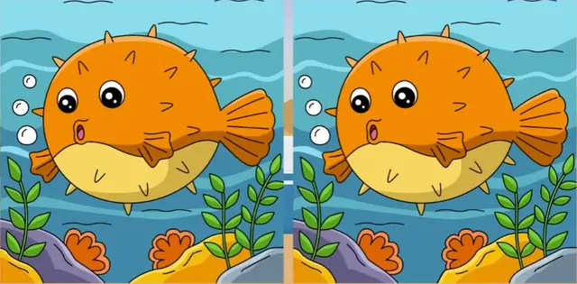 reto visual reto visual