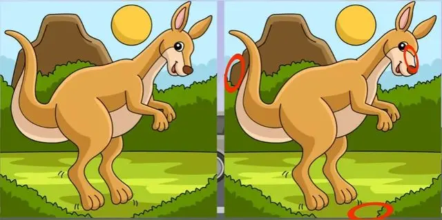 reto visual reto visual